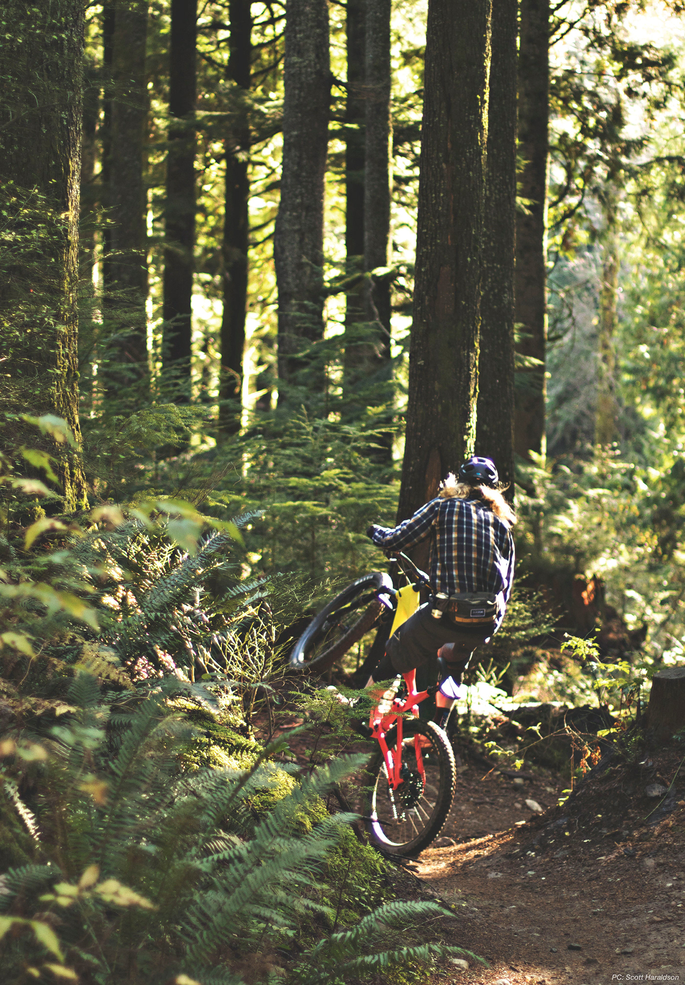 开云体育官网-法国自行车选手登顶，勇夺山地骑行冠军