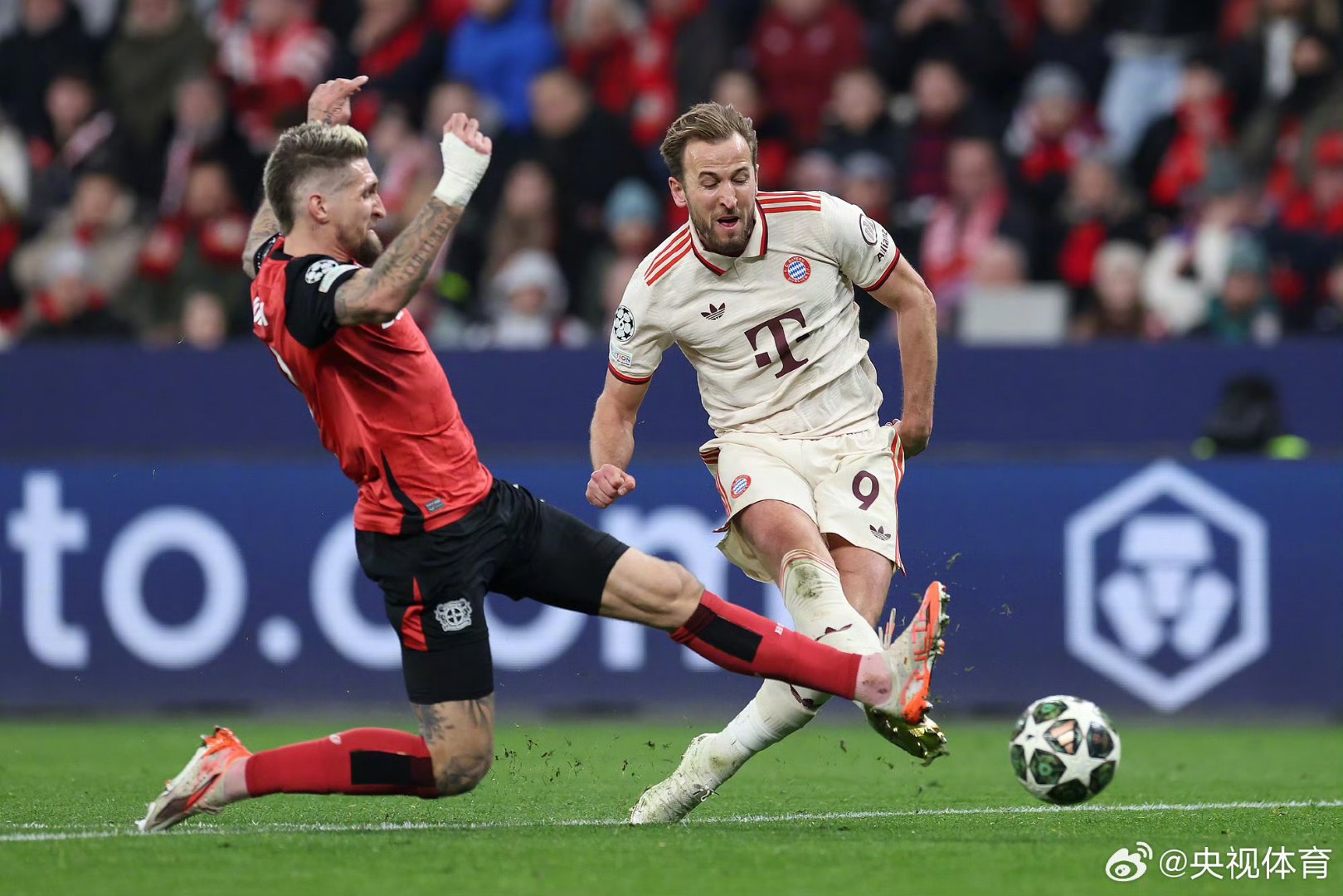 开云体育中国-挪威鏖战拜仁,哈兰德统治全场