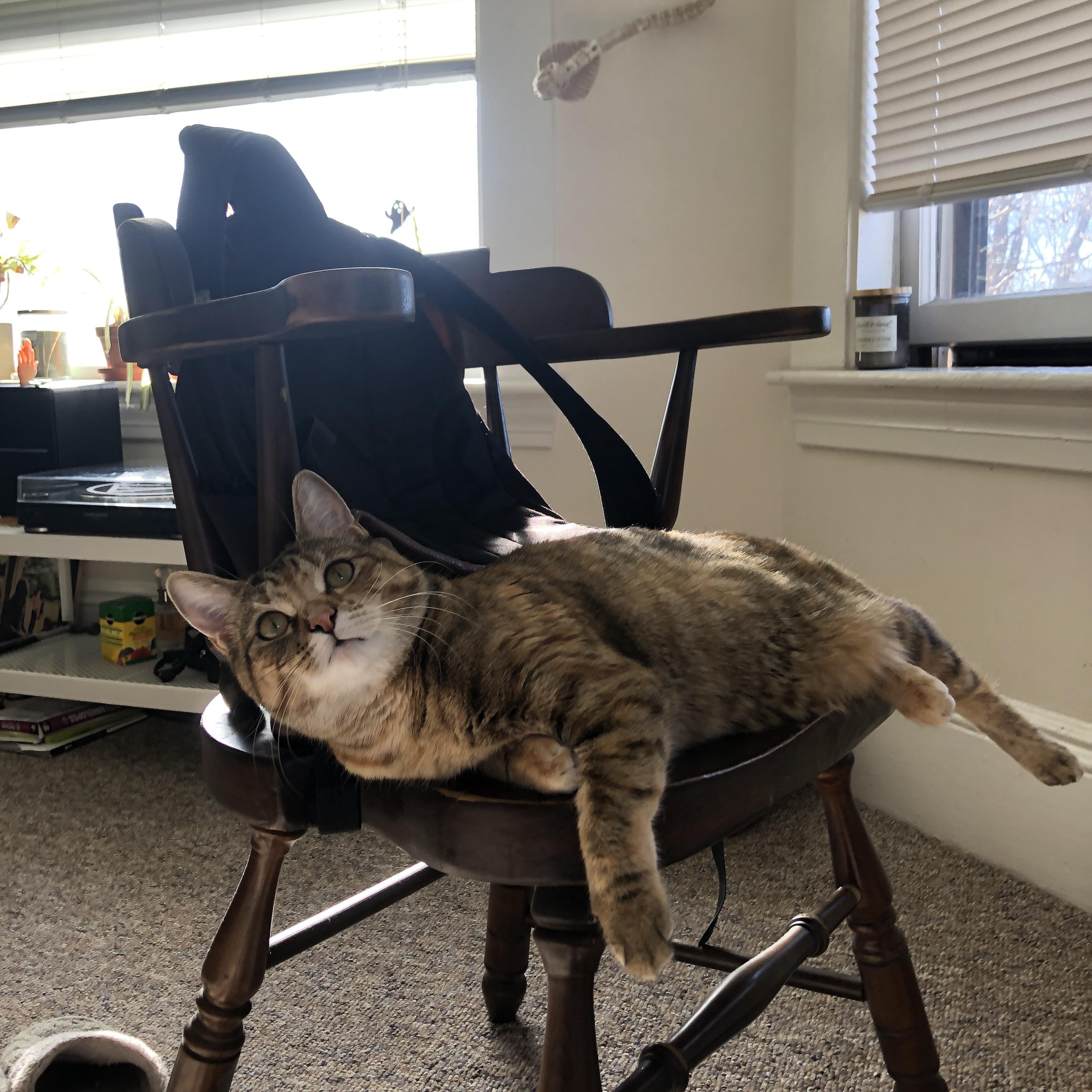 开云体育官方网站-英超争冠焦点战激战正酣，广厦队力克山西队再添胜绩