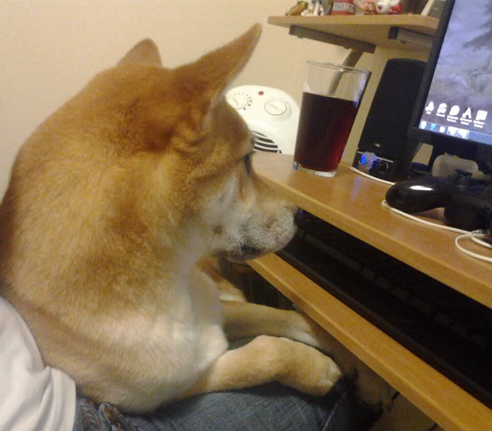 开云体育-阿什拉夫独揽攻防两端，喀麦隆稳扎稳打击溃智利