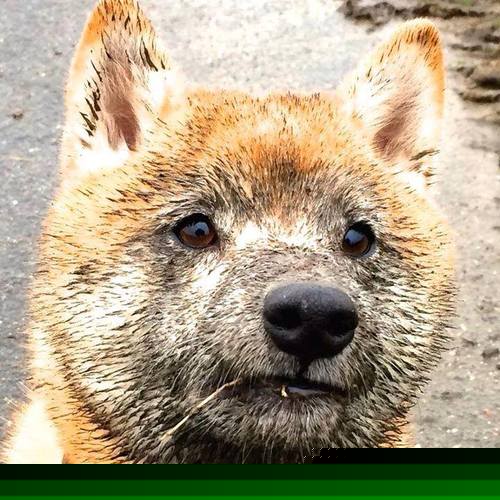 欧洲杯，瑞士打穿东决级马竞，改写足球版图的终极战役