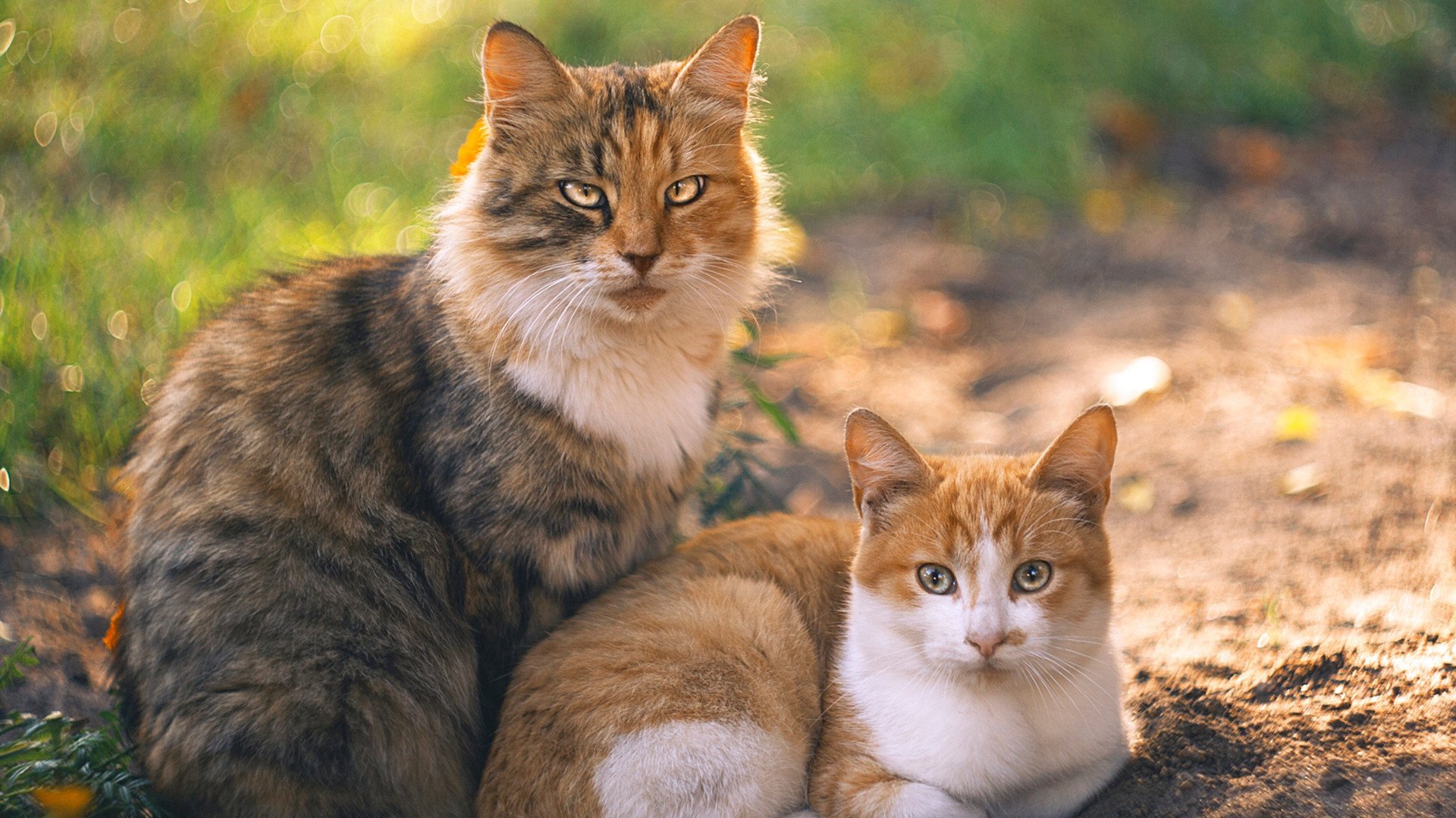 双城记，当亚特兰大的生死战遇见萨内的血脉贲张