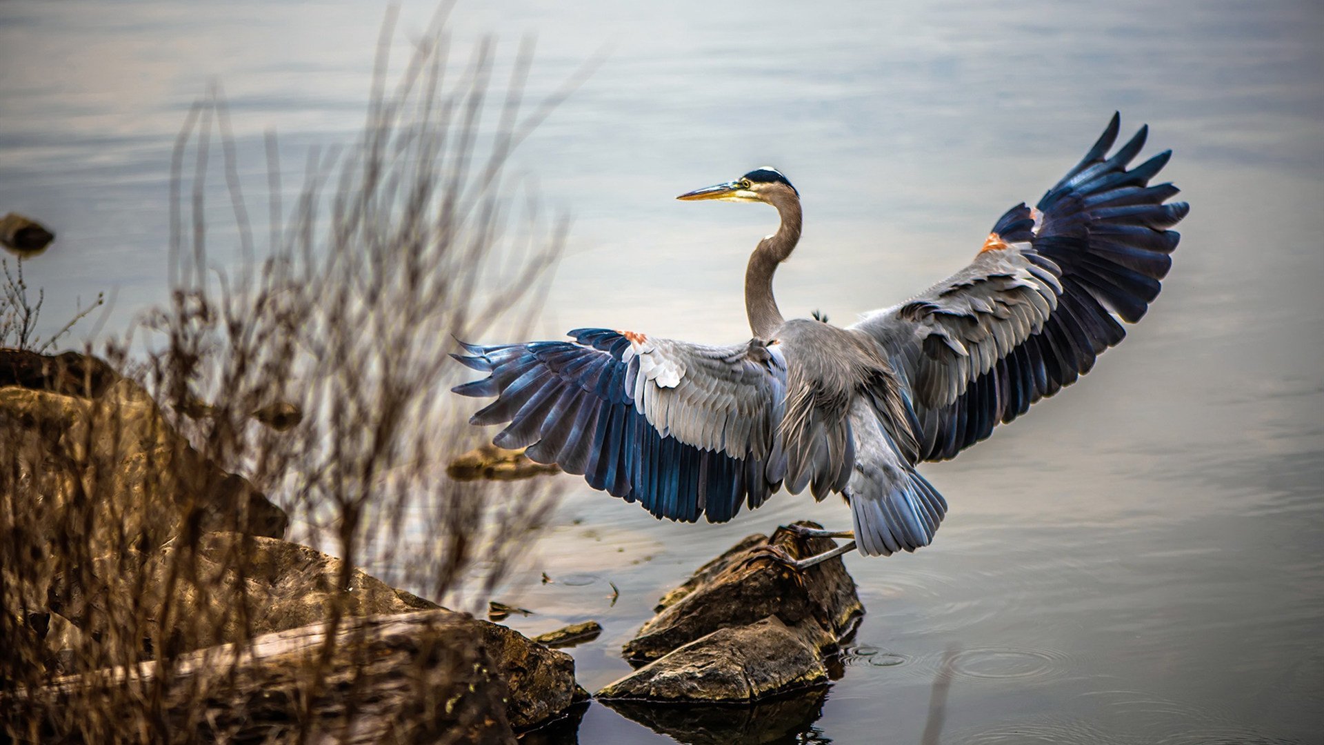 开云体育官方网站-亚洲之光闪耀伦敦，孙兴慜两射一传助阿森纳友谊赛力克喀麦隆