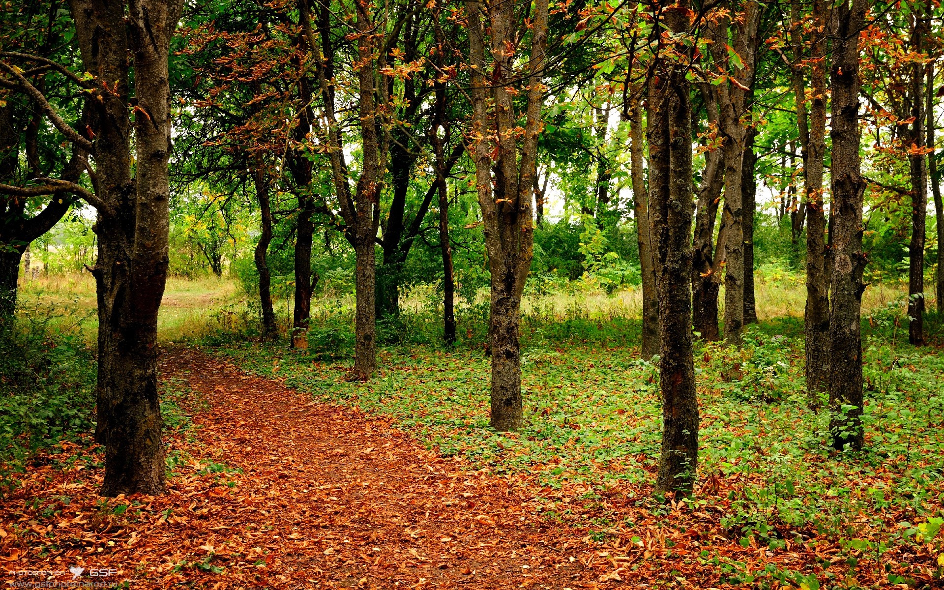 开云体育app-甩掉心魔！塔图姆的救赎一夜
