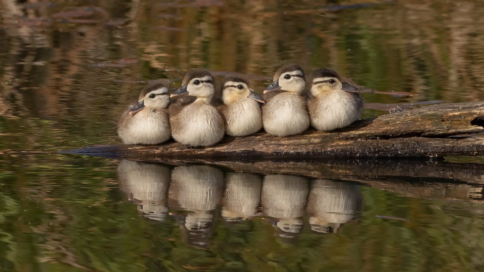 劳塔罗全程高能输出,比利亚雷亚尔连续得分压制德国—足球赛场上的双星闪耀