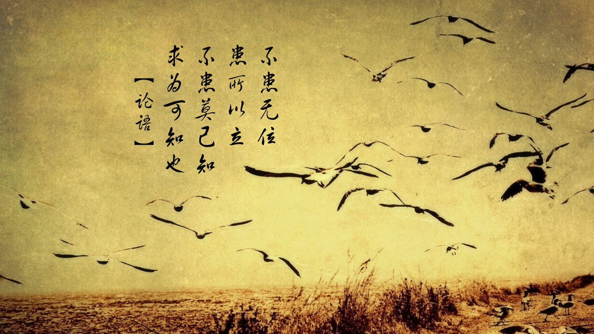 开云官网-东方铁骑正面撼动马刺王朝，乔治化身关键先生引爆篮球宇宙