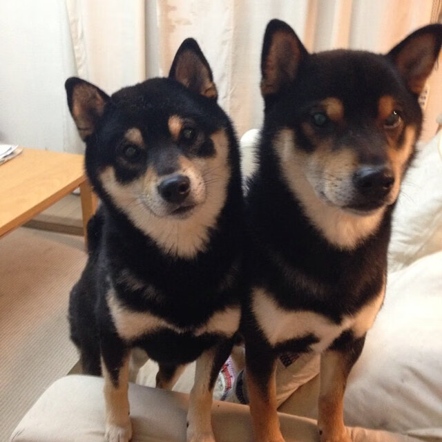 开云体育官网-绝地破阵三分雨！范弗利特轰赛季新高42分，带领公牛重返季后赛版图