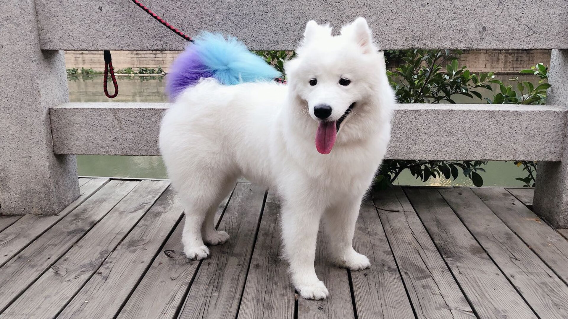 开云体育入口-范弗利特生涯之夜狂飙，深圳队主场力克山西队