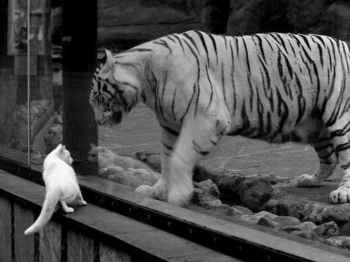 开云体育官网-英格拉姆爆发引领老鹰战术压制热火，赛场上的战略博弈与个人英雄主义