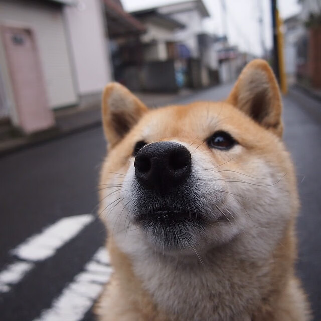 开云体育入口-冰与沙的博弈，芬兰黄金世代如何从突尼斯主场抢走关键三分？